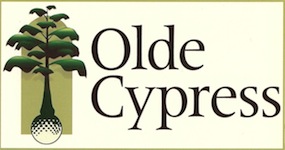 olde cypress homes for sale 