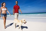 Beaches in Naples that allow dogs