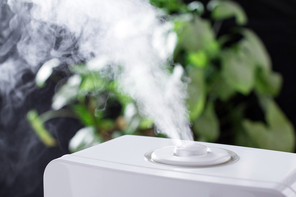 Increasing Humidity With Humidifier